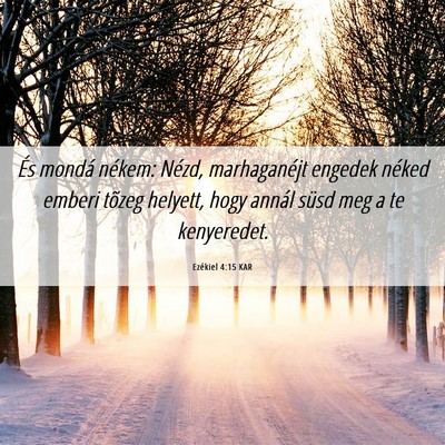 Picture 06 - Ezékiel 4:15 KAR - És mondá nékem: Nézd, marhaganéjt engedek - Bible Verse Picture