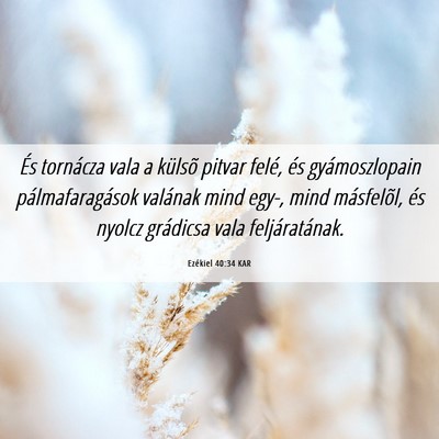 Picture 06 - Ezékiel 40:34 KAR - És tornácza vala a külsõ pitvar felé, és - Bible Verse Picture