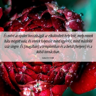 Picture 06 - Ezékiel 41:15 KAR - És méré az épület hosszúságát az - Bible Verse Picture