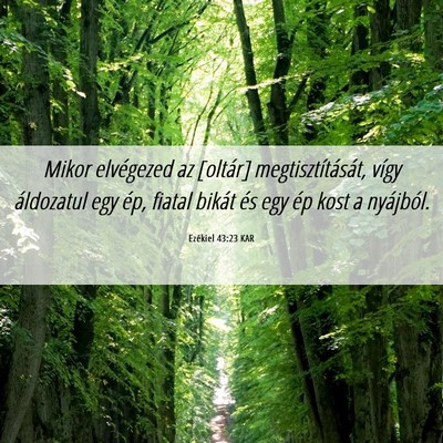 Picture 06 - Ezékiel 43:23 KAR - Mikor elvégezed az [oltár] megtisztítását, - Bible Verse Picture