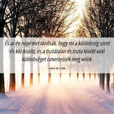 Picture 06 - Ezékiel 44:23 KAR - És az én népemet tanítsák, hogy mi a - Bible Verse Picture