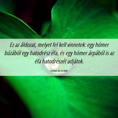 Picture 06 - Ezékiel 45:13 KAR - Ez az áldozat, melyet fel kell vinnetek: egy - Bible Verse Picture