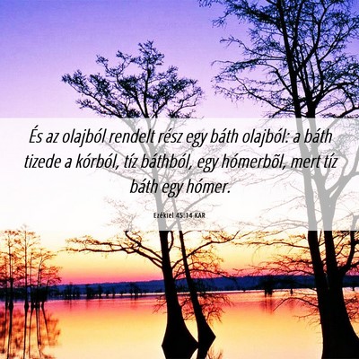 Picture 06 - Ezékiel 45:14 KAR - És az olajból rendelt rész egy báth olajból: - Bible Verse Picture