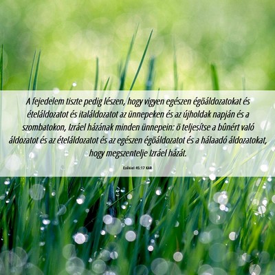 Picture 06 - Ezékiel 45:17 KAR - A fejedelem tiszte pedig lészen, hogy vigyen - Bible Verse Picture