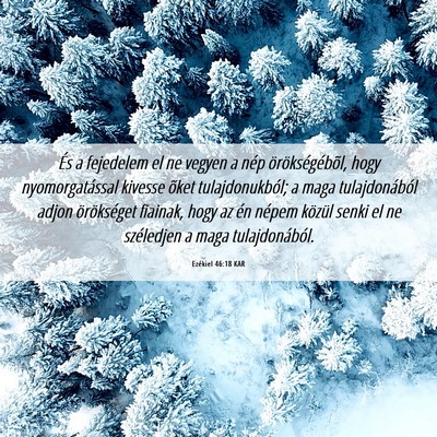 Picture 06 - Ezékiel 46:18 KAR - És a fejedelem el ne vegyen a nép - Bible Verse Picture