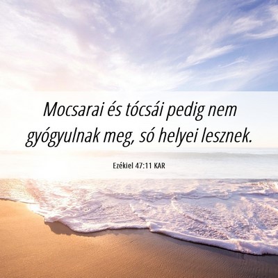 Picture 06 - Ezékiel 47:11 KAR - Mocsarai és tócsái pedig nem gyógyulnak meg, - Bible Verse Picture