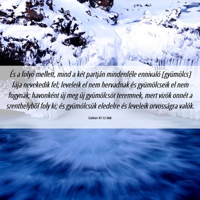 Picture 06 - Ezékiel 47:12 KAR - És a folyó mellett, mind a két partján - Bible Verse Picture