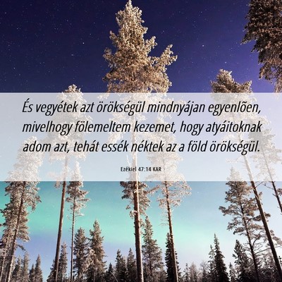 Picture 06 - Ezékiel 47:14 KAR - És vegyétek azt örökségül mindnyájan - Bible Verse Picture
