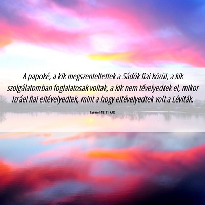 Picture 06 - Ezékiel 48:11 KAR - A papoké, a kik megszenteltettek a Sádók fiai - Bible Verse Picture