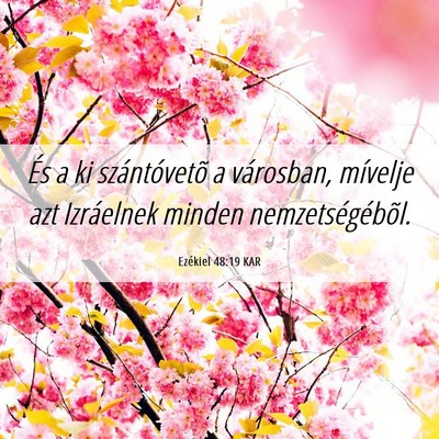 Picture 06 - Ezékiel 48:19 KAR - És a ki szántóvetõ a városban, mívelje azt - Bible Verse Picture