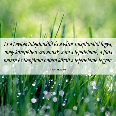Picture 06 - Ezékiel 48:22 KAR - És a Léviták tulajdonától és a város - Bible Verse Picture