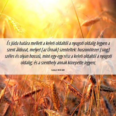 Picture 06 - Ezékiel 48:8 KAR - És Júda határa mellett a keleti oldaltól a - Bible Verse Picture