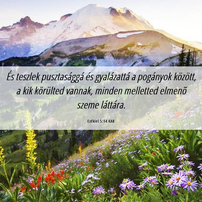 Picture 06 - Ezékiel 5:14 KAR - És teszlek pusztasággá és gyalázattá a - Bible Verse Picture