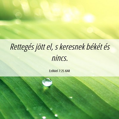 Picture 06 - Ezékiel 7:25 KAR - Rettegés jött el, s keresnek békét és - Bible Verse Picture