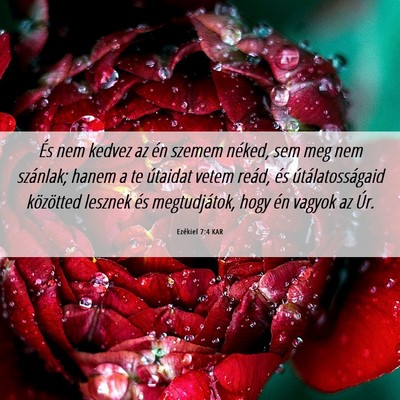 Picture 06 - Ezékiel 7:4 KAR - És nem kedvez az én szemem néked, sem meg nem - Bible Verse Picture