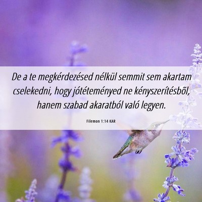 Picture 06 - Filemon 1:14 KAR - De a te megkérdezésed nélkül semmit sem - Bible Verse Picture