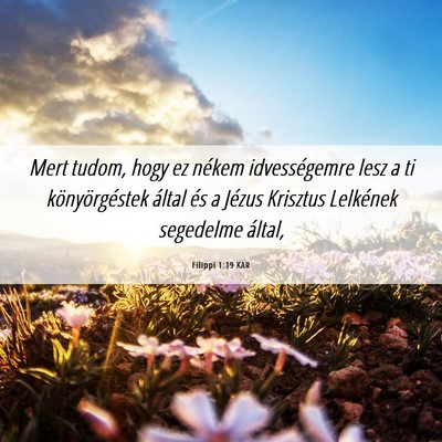Picture 06 - Filippi 1:19 KAR - Mert tudom, hogy ez nékem idvességemre lesz a - Bible Verse Picture