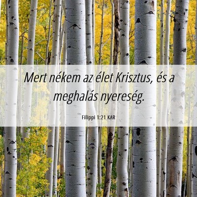 Picture 06 - Filippi 1:21 KAR - Mert nékem az élet Krisztus, és a meghalás - Bible Verse Picture