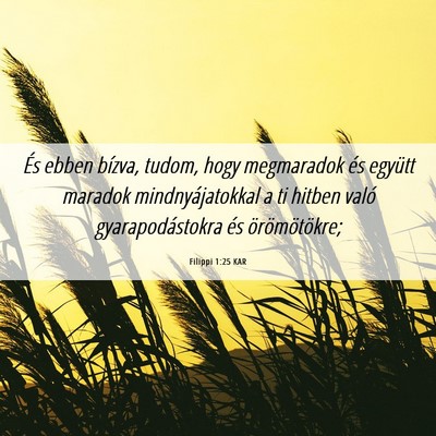 Picture 06 - Filippi 1:25 KAR - És ebben bízva, tudom, hogy megmaradok és - Bible Verse Picture