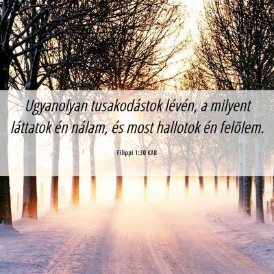 Picture 06 - Filippi 1:30 KAR - Ugyanolyan tusakodástok lévén, a milyent - Bible Verse Picture
