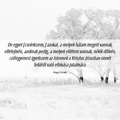 Picture 06 - Filippi 3:14 KAR - De egyet [cselekszem,] azokat, a melyek hátam - Bible Verse Picture