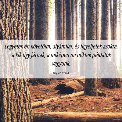 Picture 06 - Filippi 3:17 KAR - Legyetek én követõim, atyámfiai, és - Bible Verse Picture