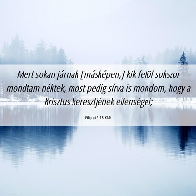 Picture 06 - Filippi 3:18 KAR - Mert sokan járnak [másképen,] kik felõl - Bible Verse Picture