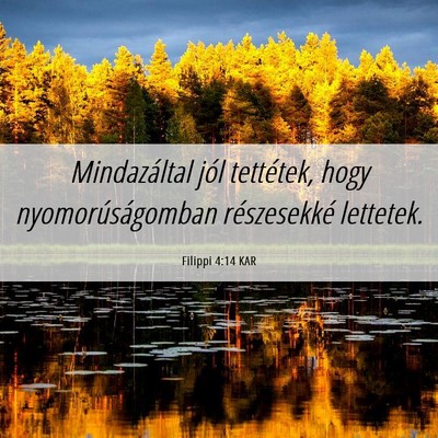 Picture 06 - Filippi 4:14 KAR - Mindazáltal jól tettétek, hogy - Bible Verse Picture