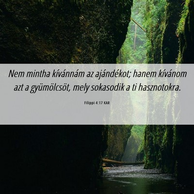 Picture 06 - Filippi 4:17 KAR - Nem mintha kívánnám az ajándékot; hanem - Bible Verse Picture