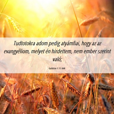 Picture 06 - Galátzia 1:11 KAR - Tudtotokra adom pedig atyámfiai, hogy az az - Bible Verse Picture