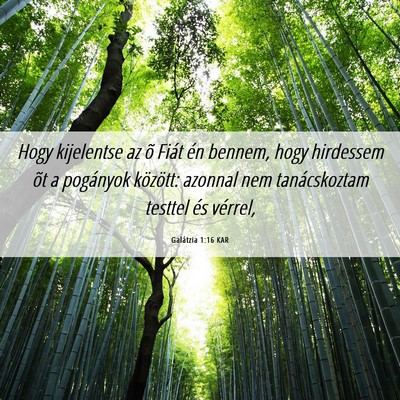 Picture 06 - Galátzia 1:16 KAR - Hogy kijelentse az õ Fiát én bennem, hogy - Bible Verse Picture