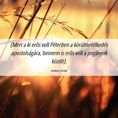 Picture 06 - Galátzia 2:8 KAR - (Mert a ki erõs volt Péterben a - Bible Verse Picture