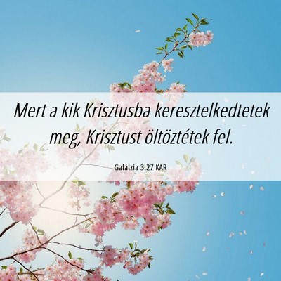 Picture 06 - Galátzia 3:27 KAR - Mert a kik Krisztusba keresztelkedtetek meg, - Bible Verse Picture