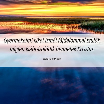 Picture 06 - Galátzia 4:19 KAR - Gyermekeim! kiket ismét fájdalommal szûlök, - Bible Verse Picture