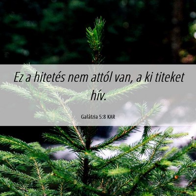 Picture 06 - Galátzia 5:8 KAR - Ez a hitetés nem attól van, a ki titeket - Bible Verse Picture