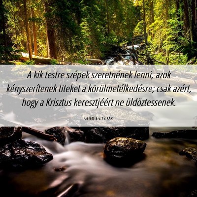 Picture 06 - Galátzia 6:12 KAR - A kik testre szépek szeretnének lenni, azok - Bible Verse Picture