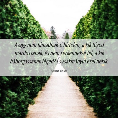 Picture 06 - Habakuk 2:7 KAR - Avagy nem támadnak-é hirtelen, a kik téged - Bible Verse Picture