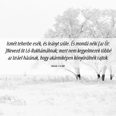 Picture 06 - Hóseás 1:6 KAR - Ismét teherbe esék, és leányt szûle. És - Bible Verse Picture