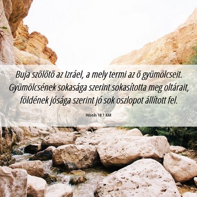 Picture 06 - Hóseás 10:1 KAR - Buja szõlõtõ az Izráel, a mely termi az õ - Bible Verse Picture