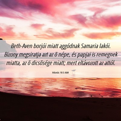 Picture 06 - Hóseás 10:5 KAR - Beth-Aven borjúi miatt aggódnak Samaria lakói. - Bible Verse Picture
