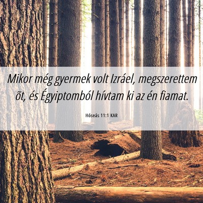 Picture 06 - Hóseás 11:1 KAR - Mikor még gyermek volt Izráel, megszerettem - Bible Verse Picture