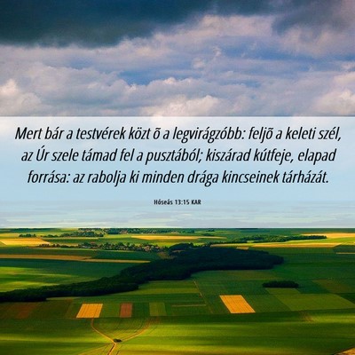 Picture 06 - Hóseás 13:15 KAR - Mert bár a testvérek közt õ a legvirágzóbb: - Bible Verse Picture