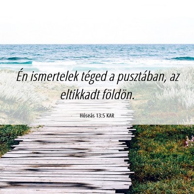 Picture 06 - Hóseás 13:5 KAR - Én ismertelek téged a pusztában, az eltikkadt - Bible Verse Picture
