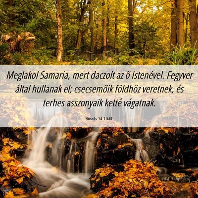 Picture 06 - Hóseás 14:1 KAR - Meglakol Samaria, mert daczolt az õ Istenével. - Bible Verse Picture