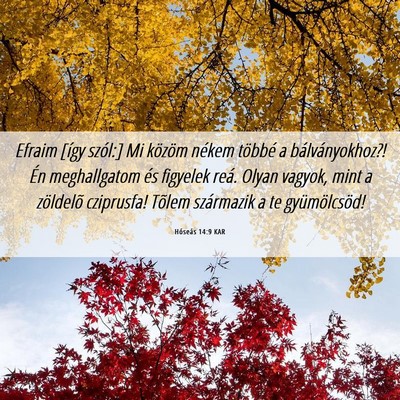 Picture 06 - Hóseás 14:9 KAR - Efraim [így szól:] Mi közöm nékem többé a - Bible Verse Picture