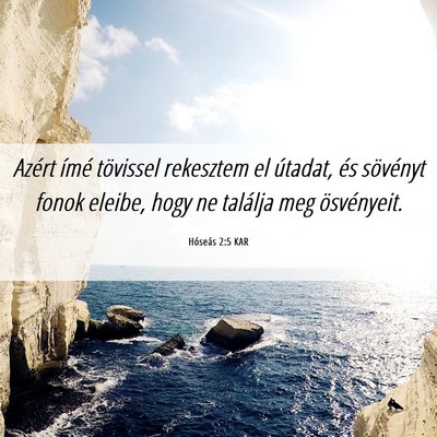 Picture 06 - Hóseás 2:5 KAR - Azért ímé tövissel rekesztem el útadat, és - Bible Verse Picture