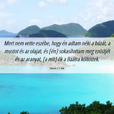 Picture 06 - Hóseás 2:7 KAR - Mert nem vette eszébe, hogy én adtam néki a - Bible Verse Picture