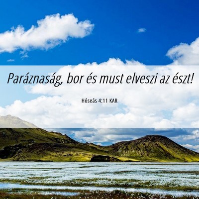 Picture 06 - Hóseás 4:11 KAR - Paráznaság, bor és must elveszi az - Bible Verse Picture