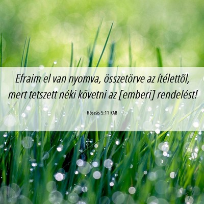 Picture 06 - Hóseás 5:11 KAR - Efraim el van nyomva, összetörve az - Bible Verse Picture