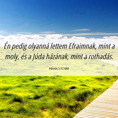 Picture 06 - Hóseás 5:12 KAR - Én pedig olyanná lettem Efraimnak, mint a moly, - Bible Verse Picture